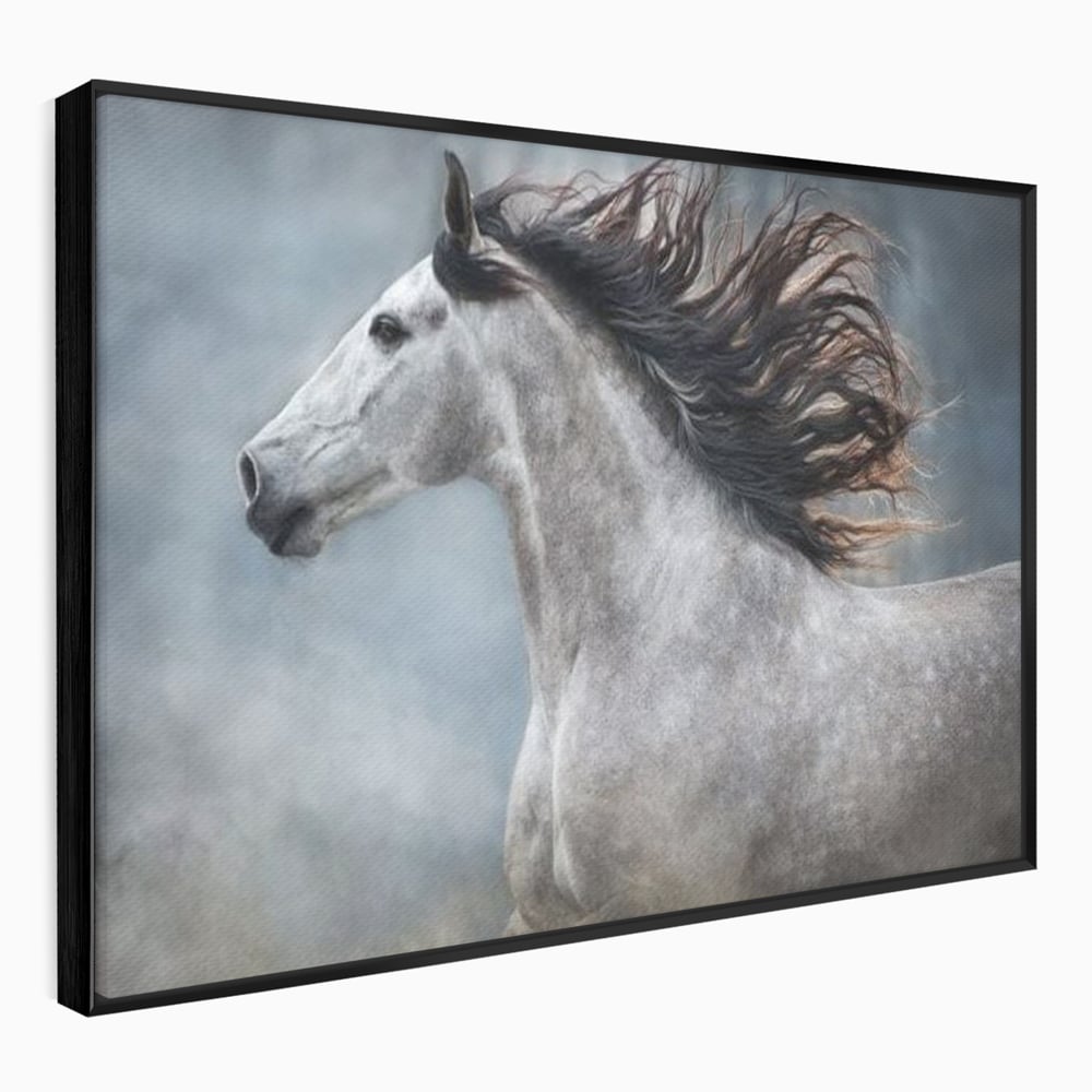 Tablou canvas cu tablou canvas cu armasar in miscare, in rama de aluminiu negru